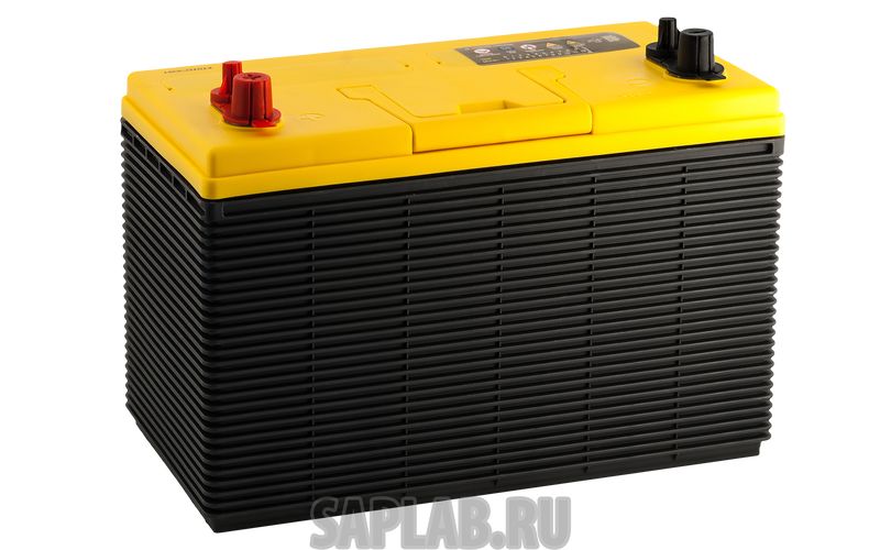 Купить ALPHALINE AGM31800 Аккумулятор ALPHALINE AGM 31-800