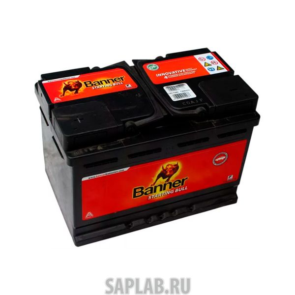 Купить BANNER 6СТ6056009 Аккумулятор BANNER Starting Bull 60А/ч обратная полярность, низкий