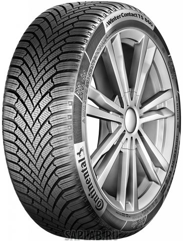 Купить CONTINENTAL 0353906 Шины CONTINENTAL WintContact TS 860 215/55 R16 97H XL 03539060000