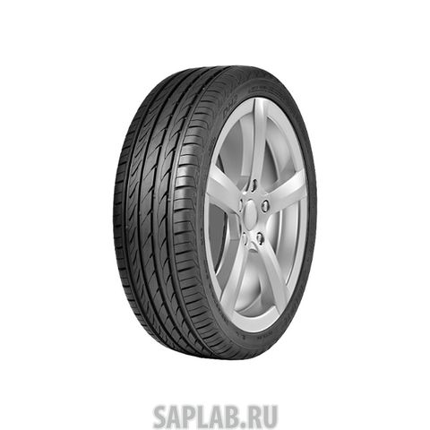 Купить DELINTE 6901532202112 Шины Delinte DH2 195/55 R16 87W