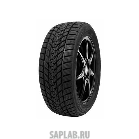 Купить DELINTE 6901532410432 Шины Delinte Winter Wd1 195/55 R15 85H