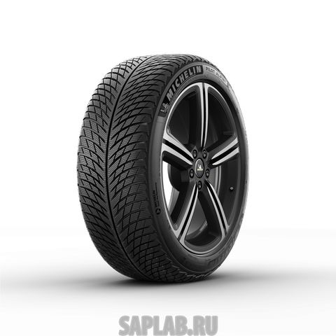 Купить MICHELIN 909665 Шины MICHELIN  285/45/21  V 113 PILOT ALPIN 5  XL