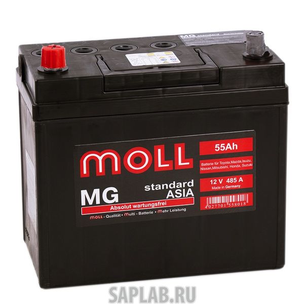 Купить MOLL MG55JL Аккумулятор MOLL MG 55JL 585