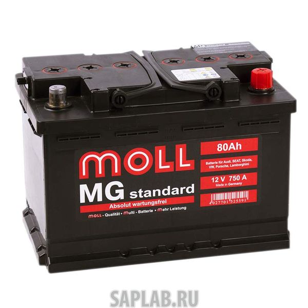 Купить MOLL MG80R Аккумулятор MOLL MG 80R 618