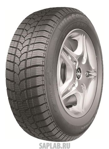 Купить TIGAR 1233653 Шины Tigar Winter 1 TG 175/55R15 77T