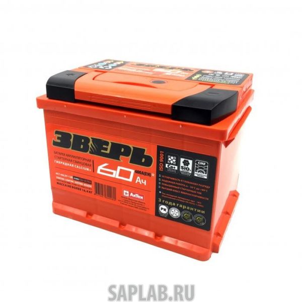 Купить ЗВЕРЬ 60L600A Аккумулятор ЗВЕРЬ 60L 600A 242x175x190