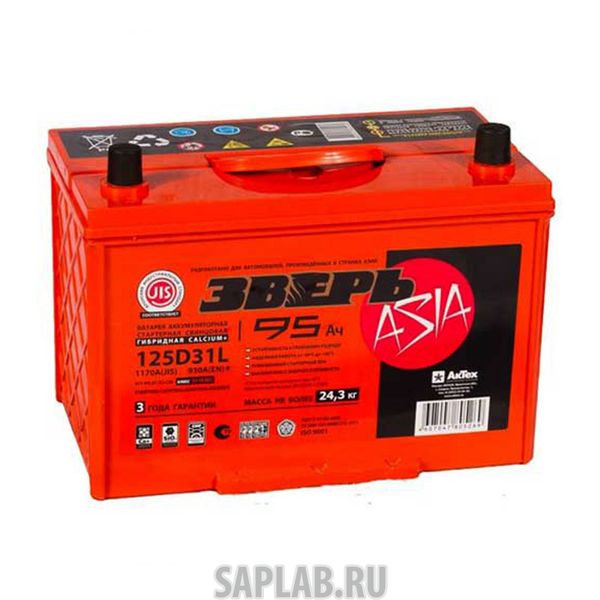 Купить ЗВЕРЬ 6СТ950 Аккумулятор ЗВЕРЬ ASIA 95 А/ч обратная R+ EN 930A 306x175x225 6СТ-95LЗУ/125 D31L 6СТ-95.0