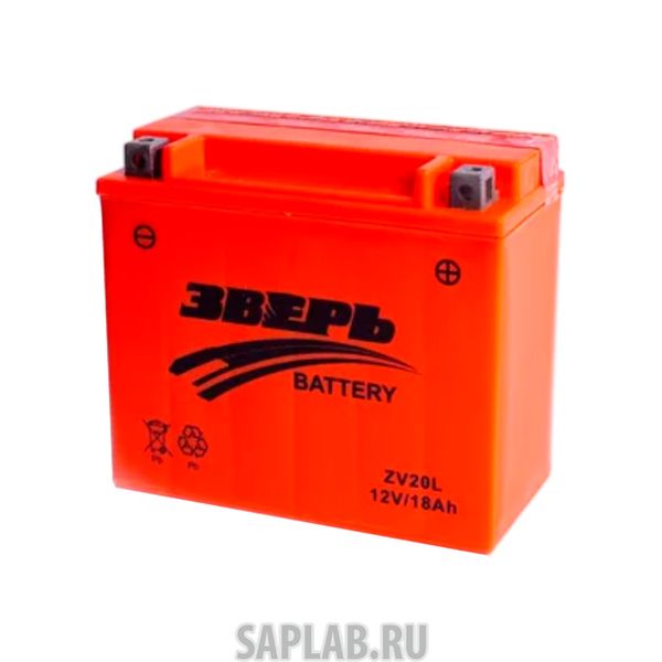 Купить ЗВЕРЬ ZV20L Аккумулятор Зверь Agm 18 А/Ч Обратная R En210 А 175x87x155 Zv20l ЗВЕРЬ арт. ZV20L